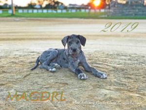 2019 Calendar - Front