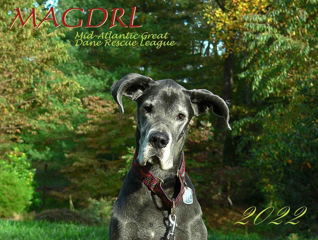 Home The MidAtlantic Great Dane Rescue League, Inc.