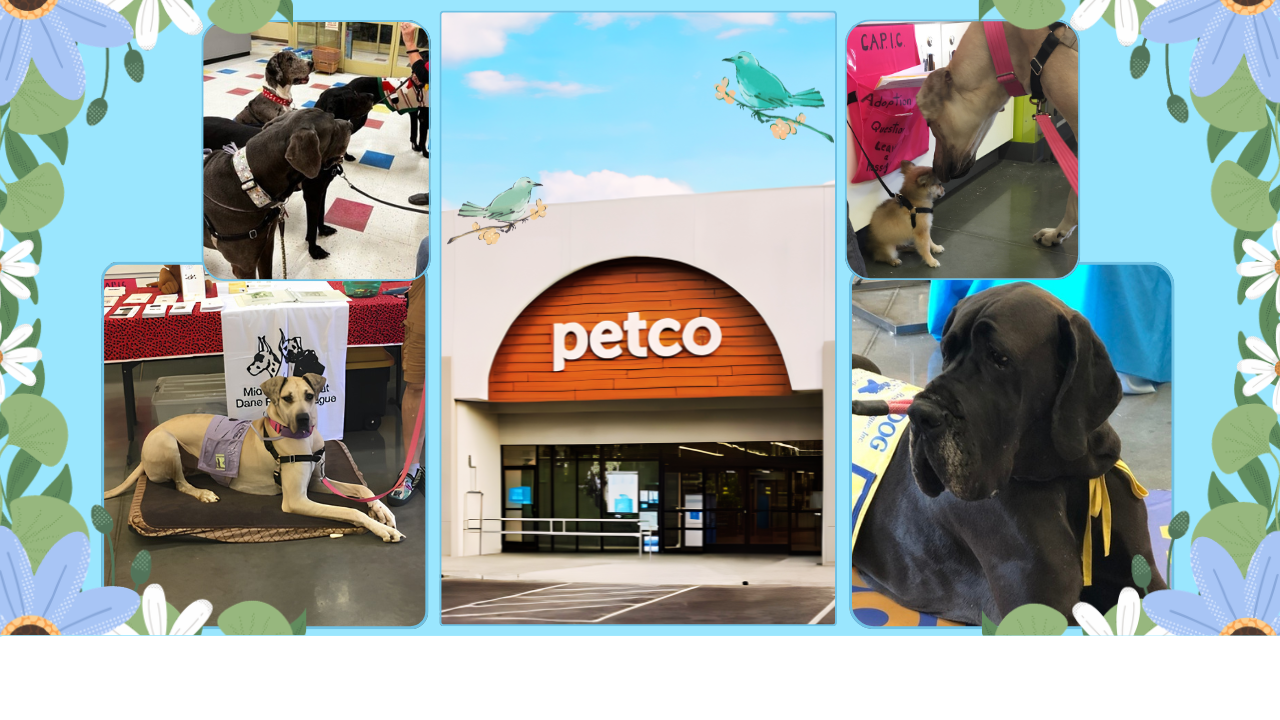 MAGDRL Feature Image Petco 7